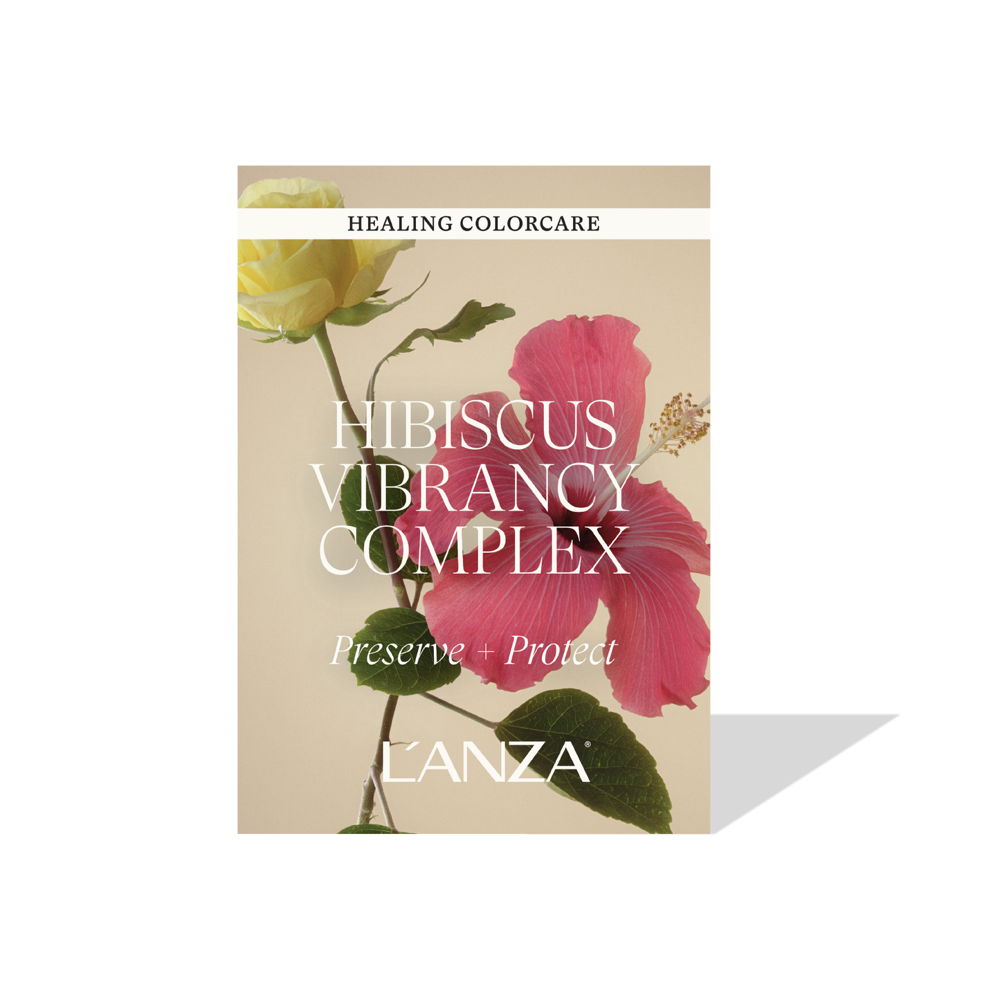 HCC Source + Science Easel