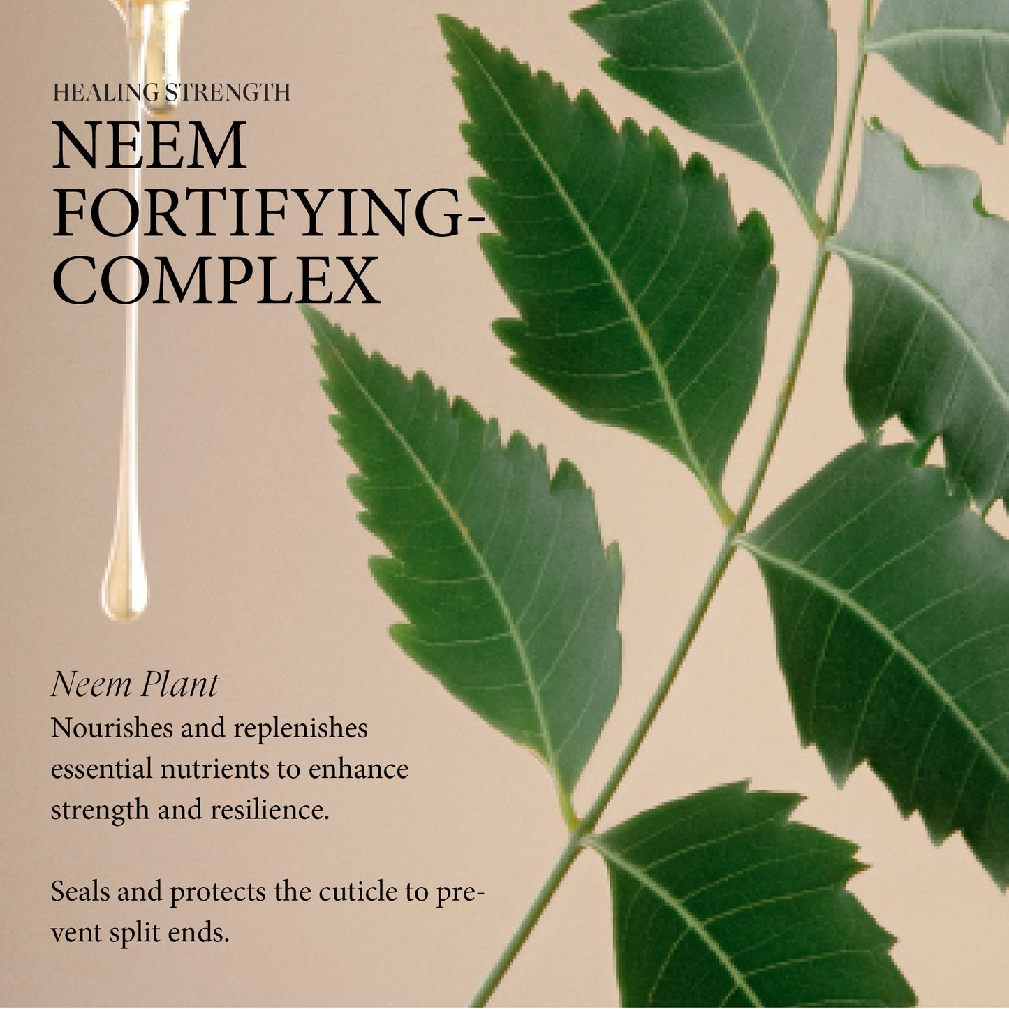 LNZ Healing Strength Detangling Primer