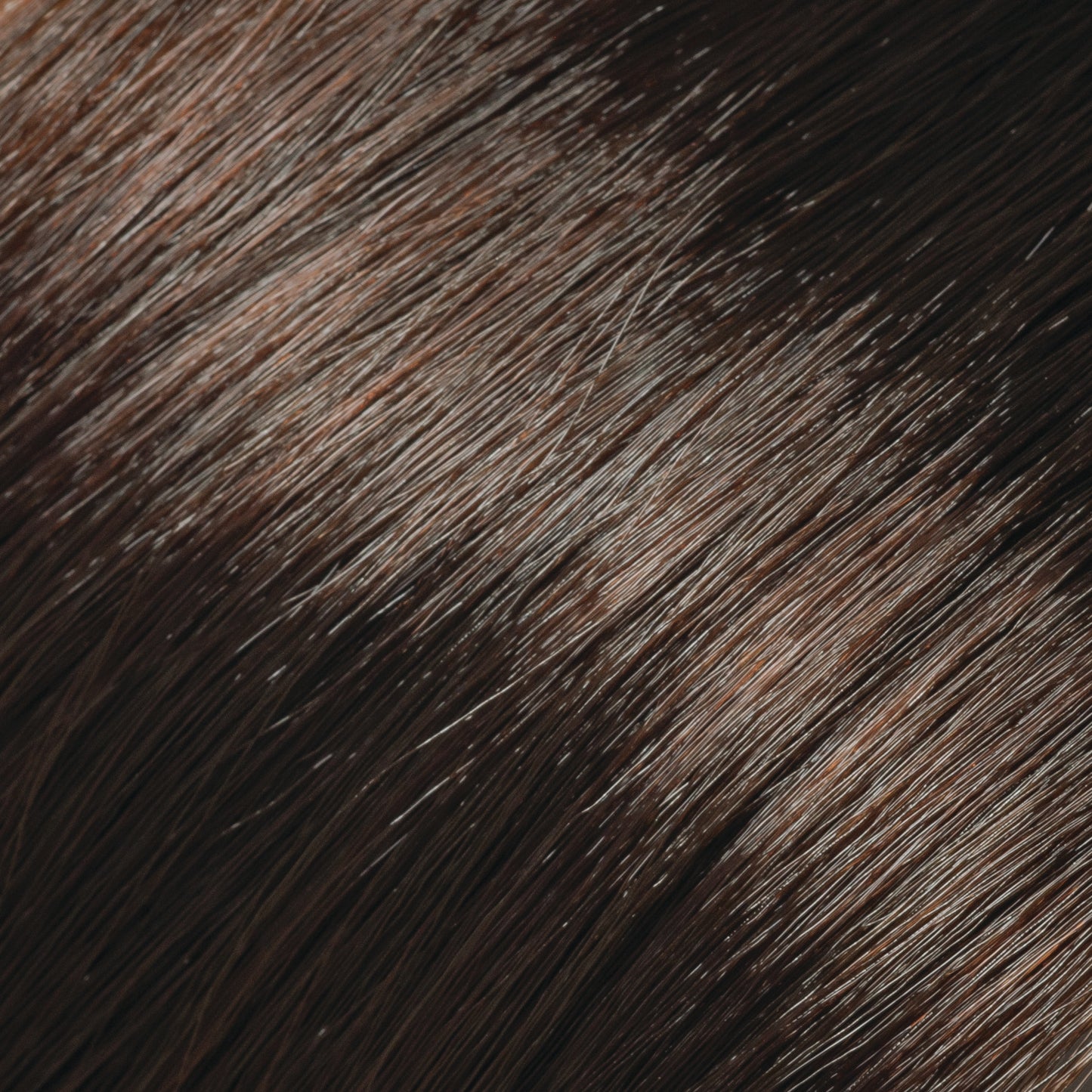 Beige Copper