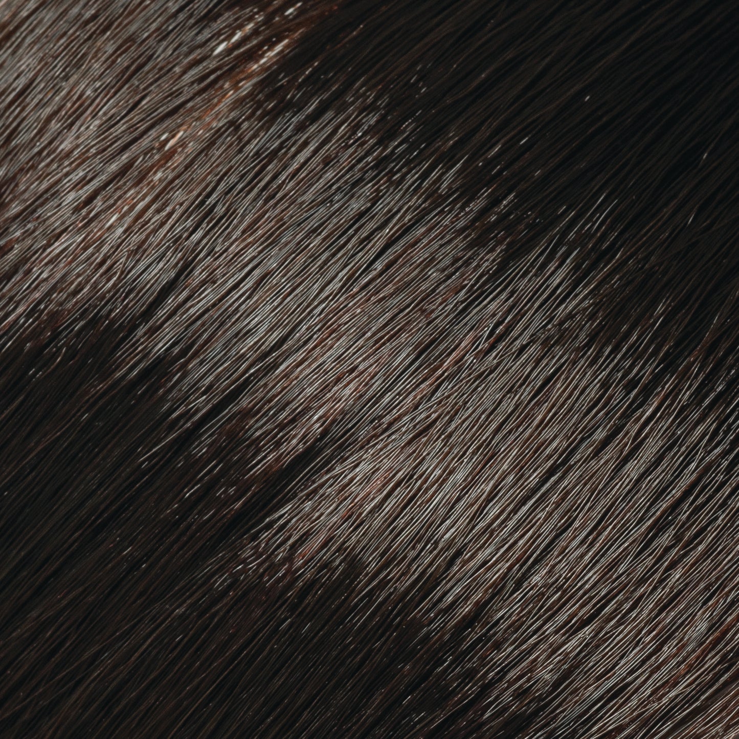 Copper Gold