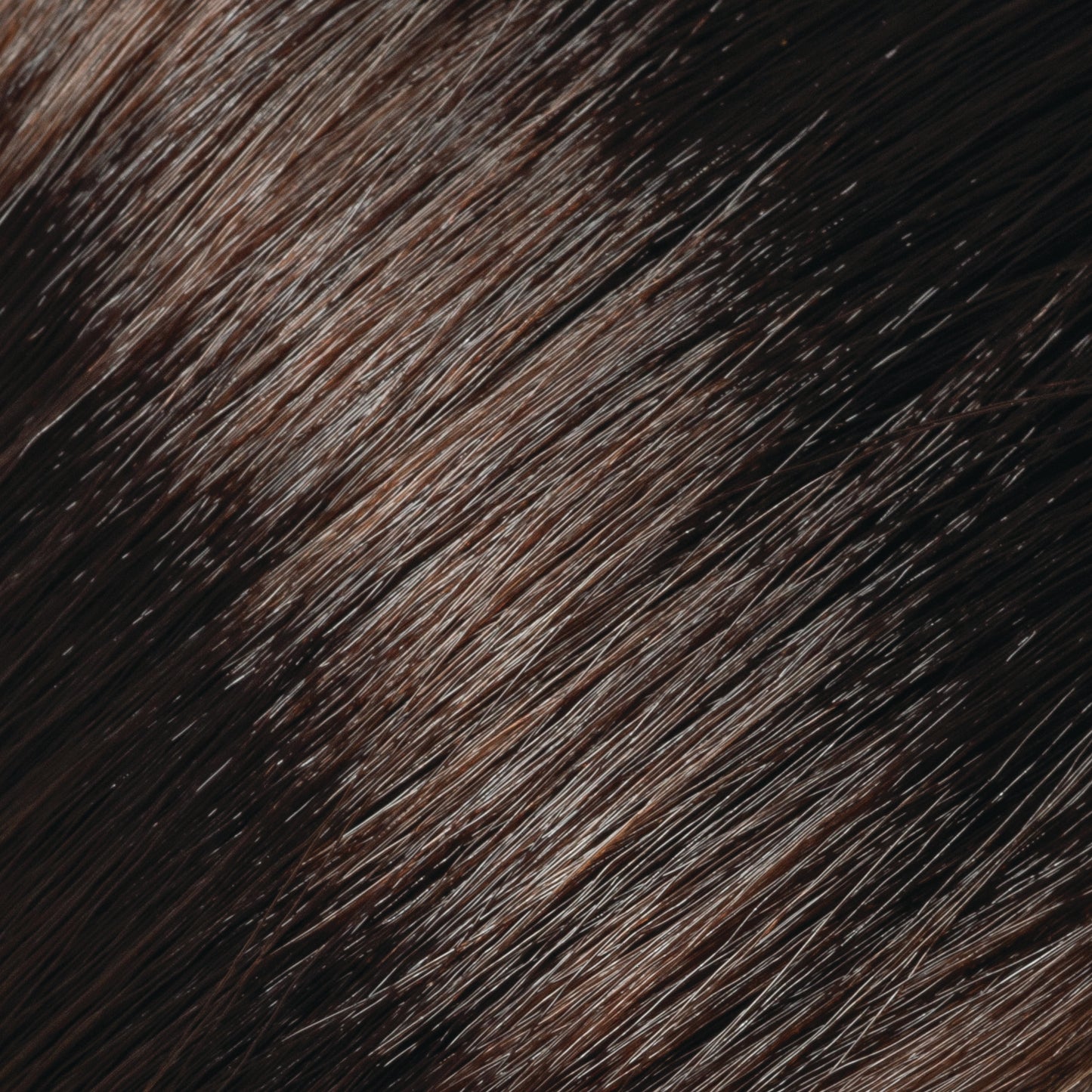 Copper Gold