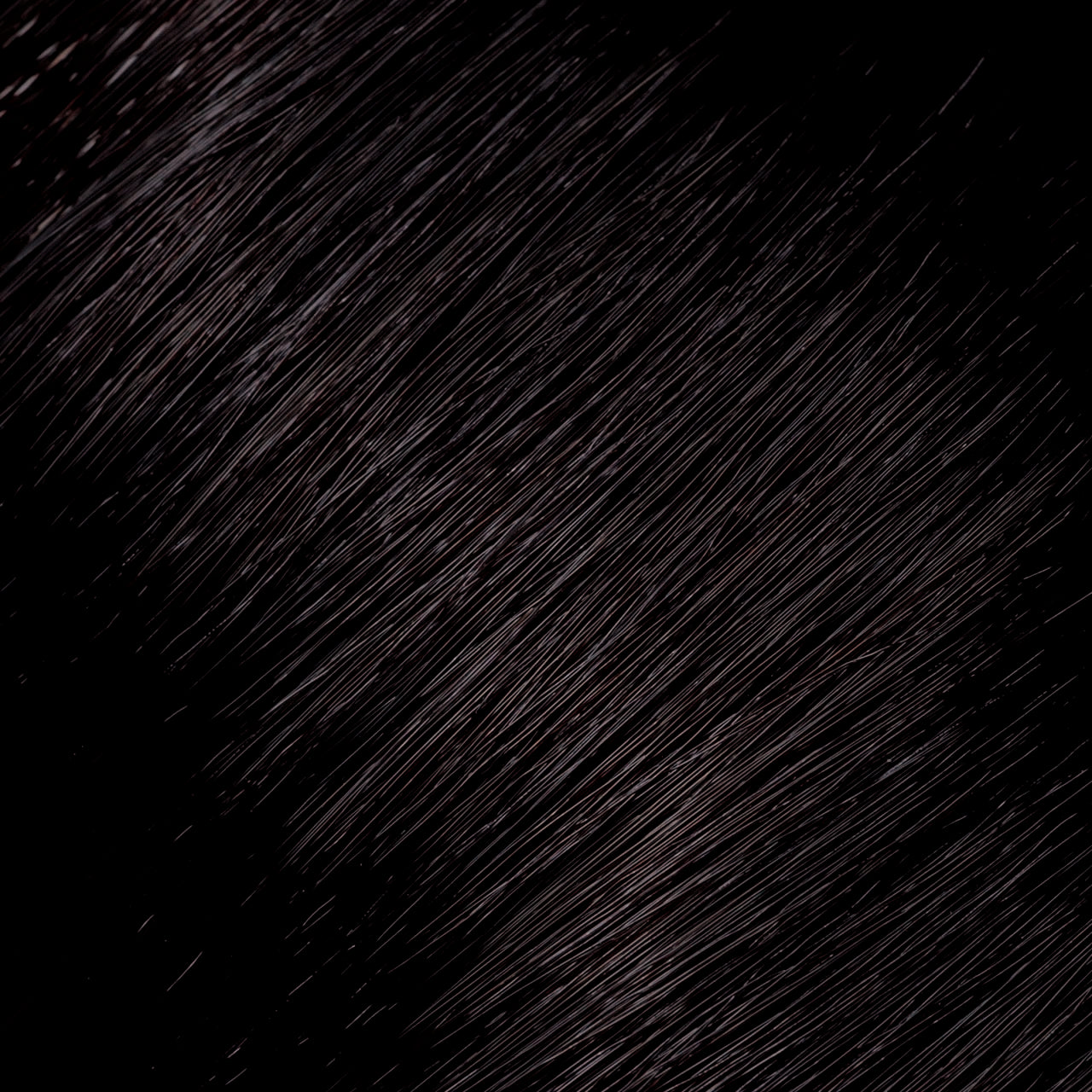 Natural Ash