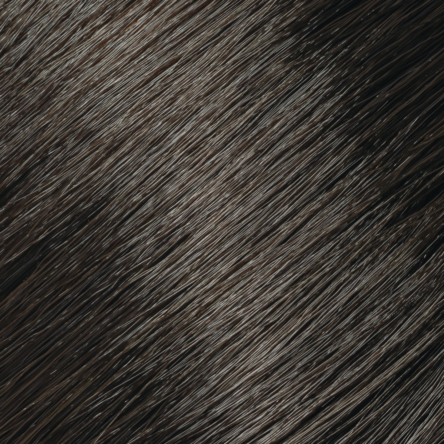 Ash