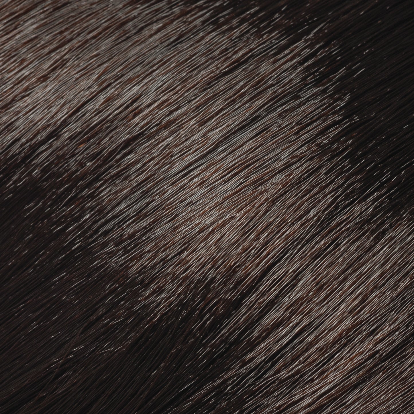 10 Minute Color - Ultra Natural