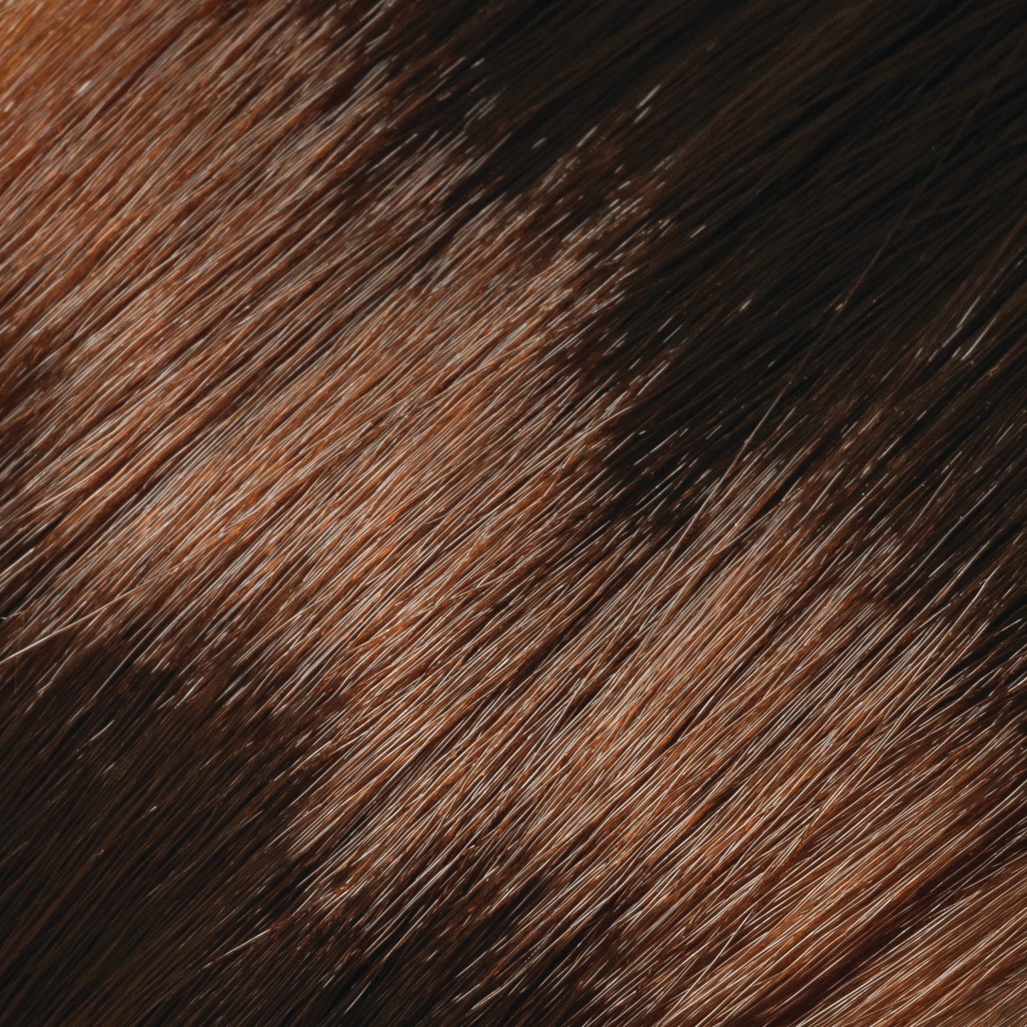 Beige Copper