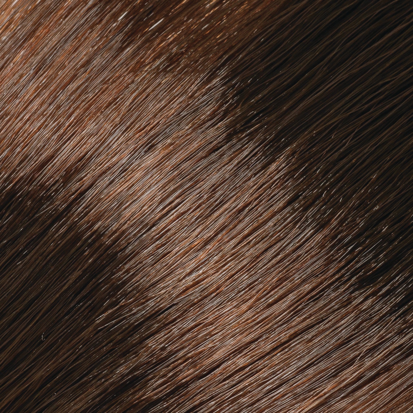 Gold Copper