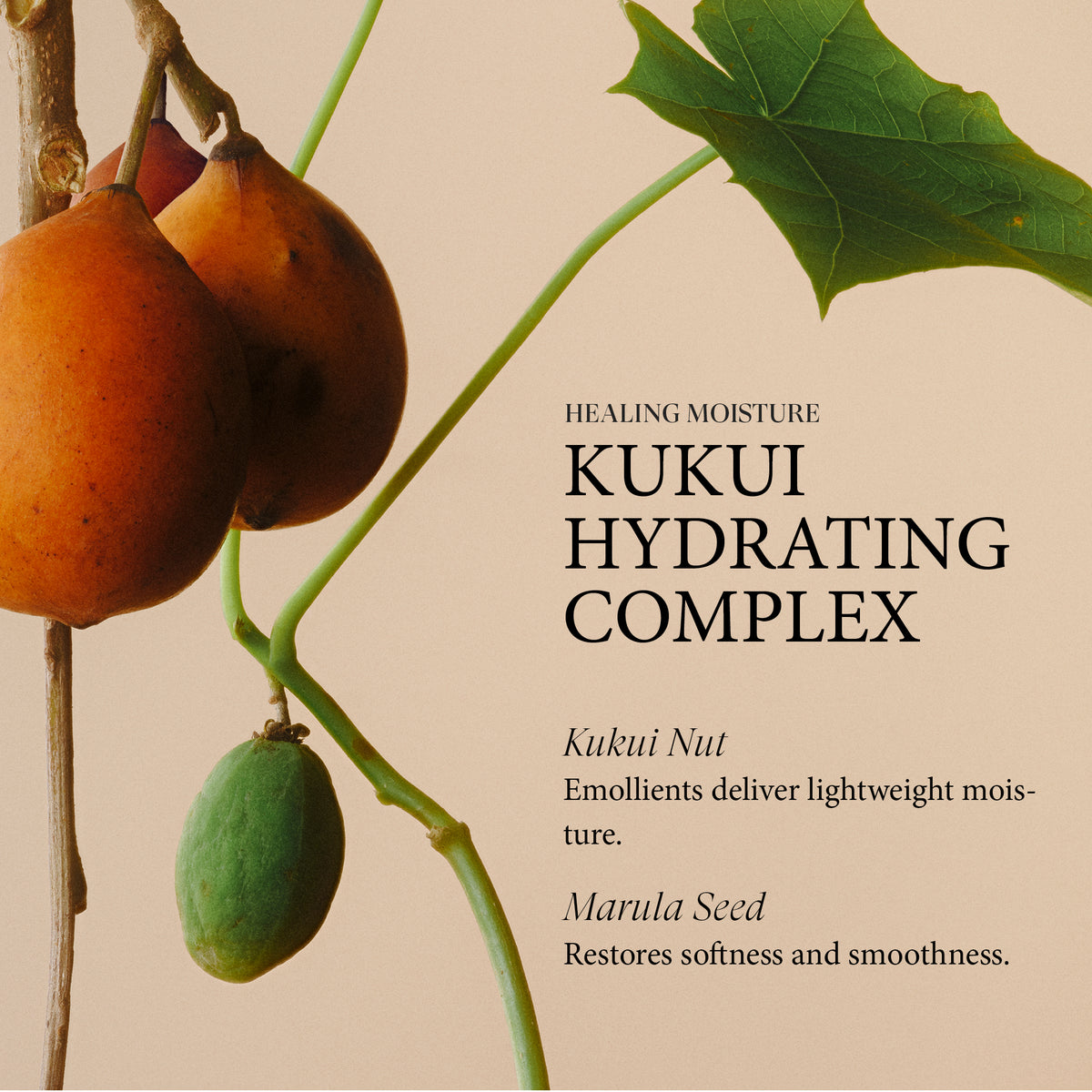 Healing Moisture Summer Duo