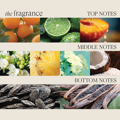 Healing Moisture Summer Duo